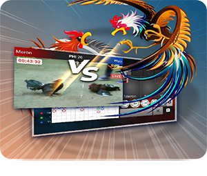 Cockfight VS